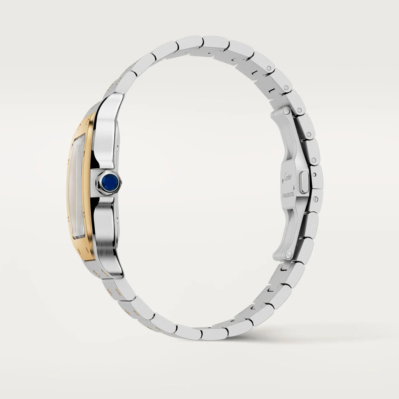 Santos de Cartier W2SA0009