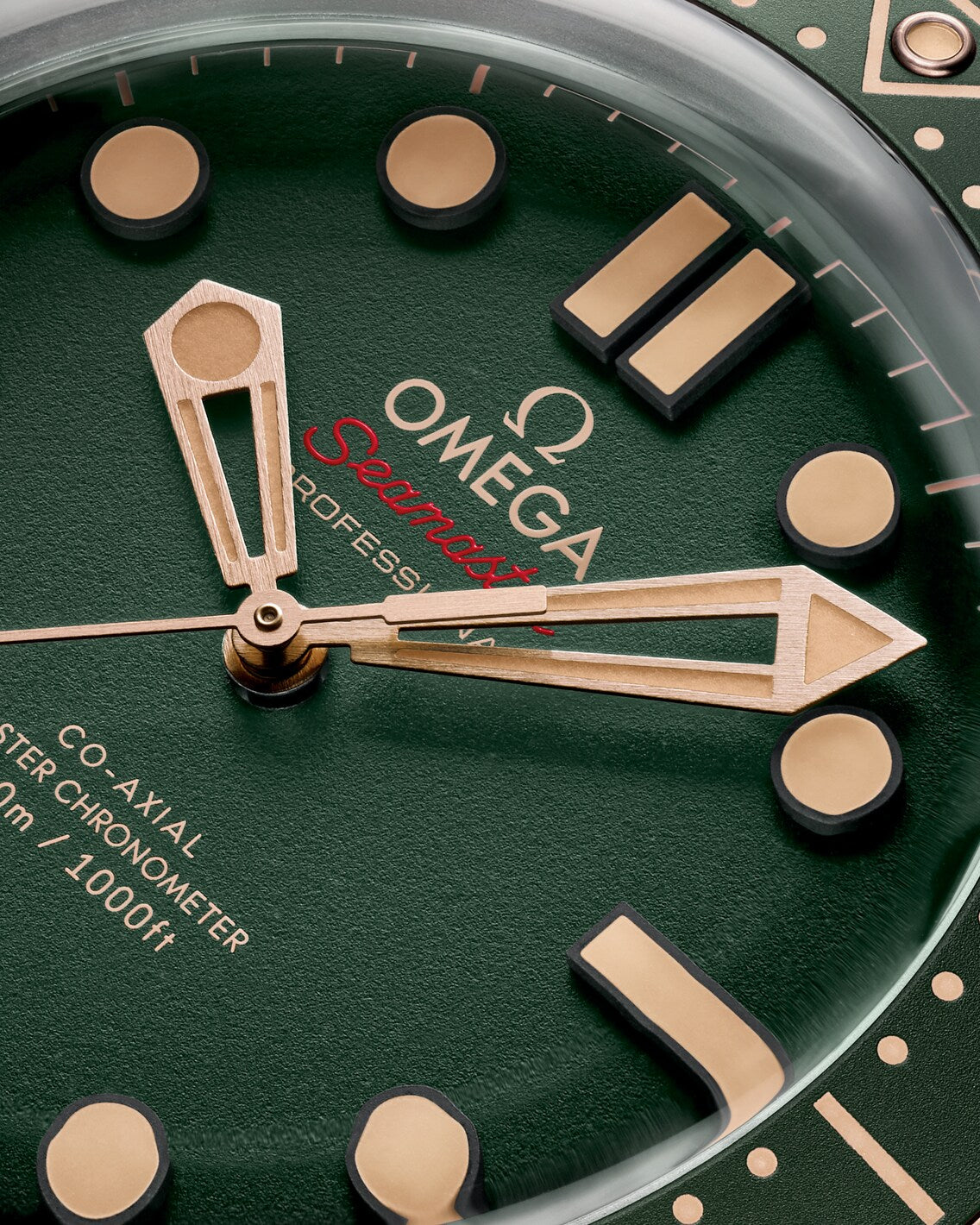 Seamaster Diver 300M
