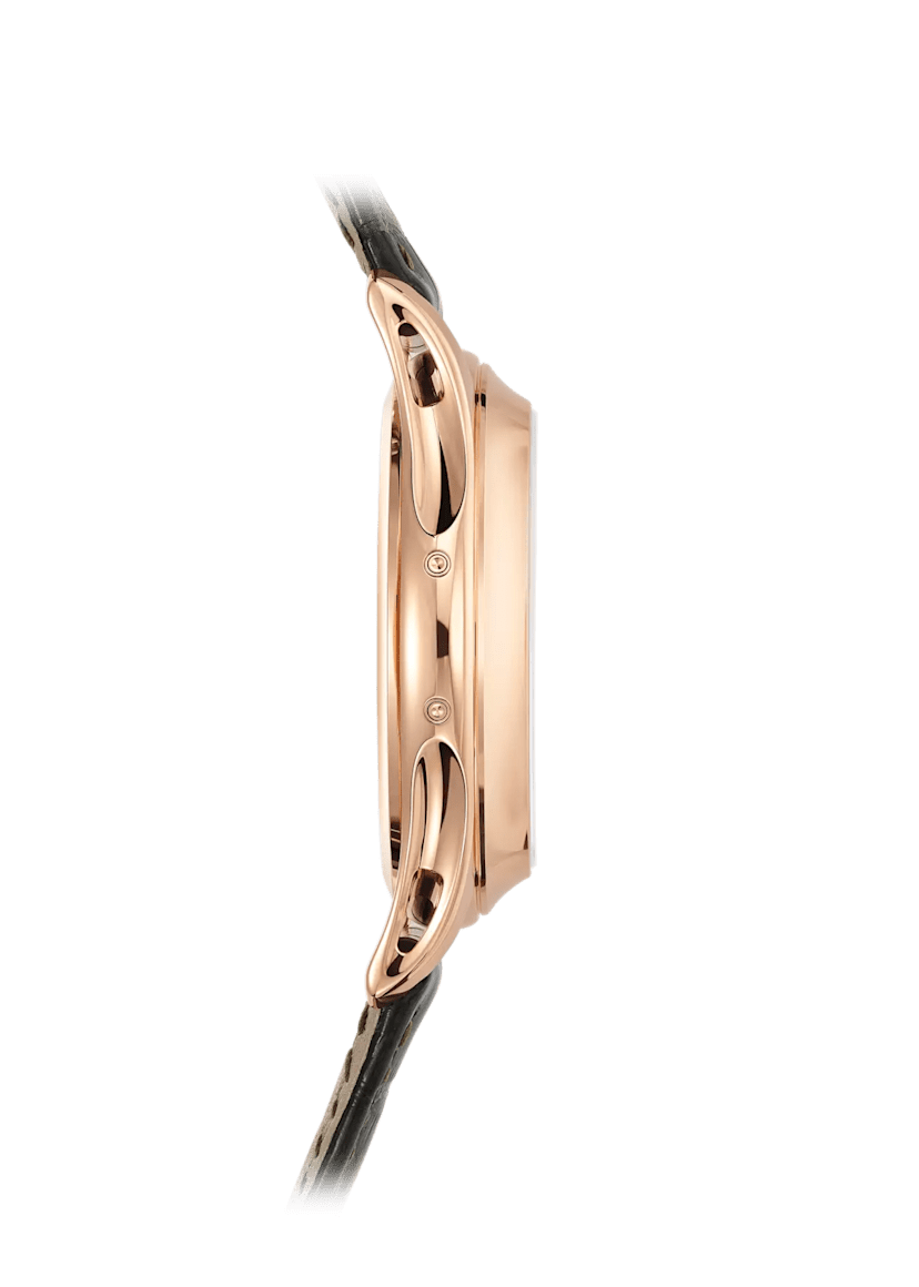 PP Complications 5205R-011