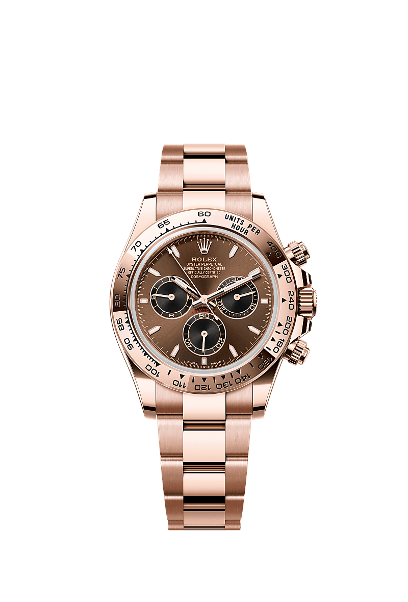 Daytona Chocolate Everose